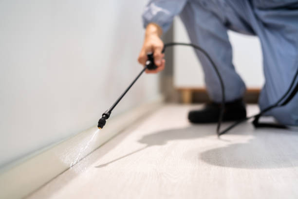 Licensed Pest Control service in Bethany, OK - Show Me Pest Control